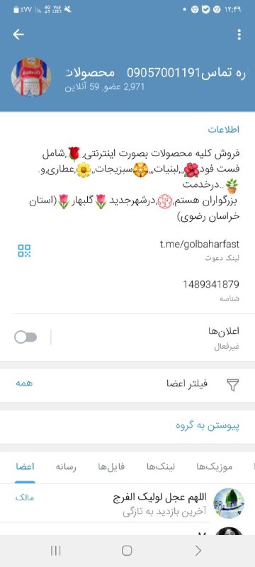 ممبر آنلاین