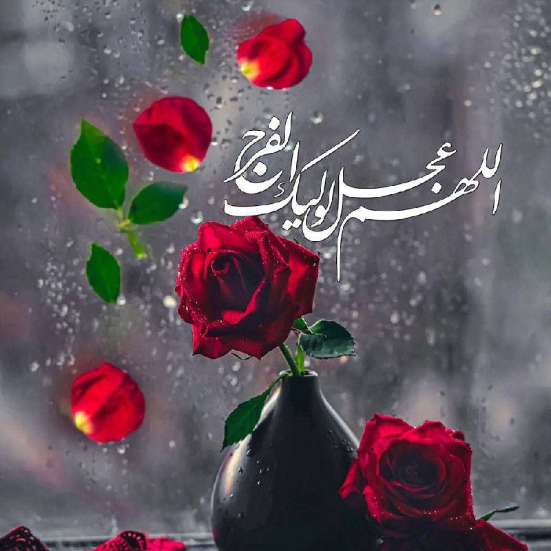 سيد صادق الياسري