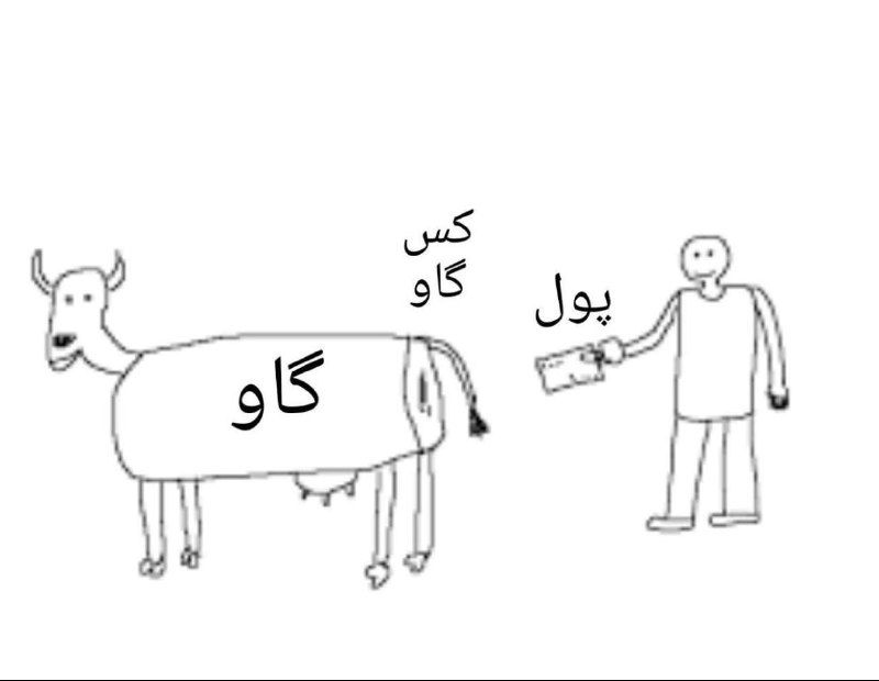 من وقتی یکم پول میاد دستم: