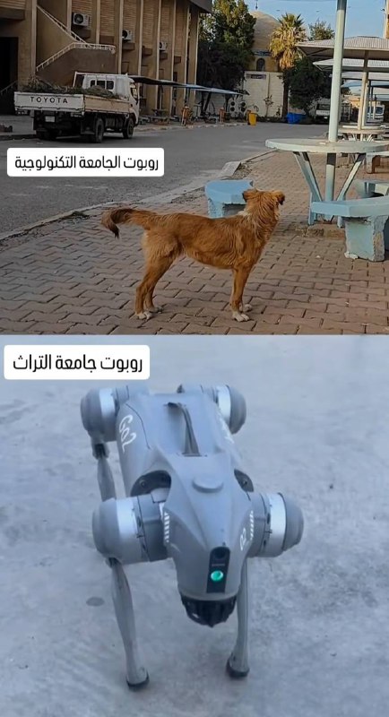 MEMES