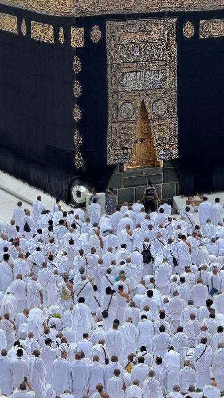 سيصلح الله ما دُنياك تفسدهُ ***🌿*** …