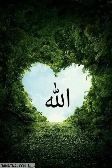 في حب الرسول ﷺ💚