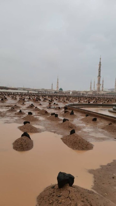 الفاتحةُ لـ أم البنين (عليها السّلام)