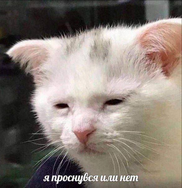 некстати