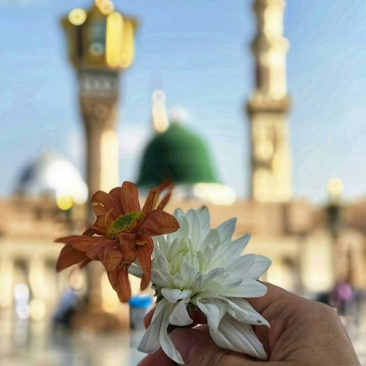 كان رسول الله ﷺ سهلًا لا …