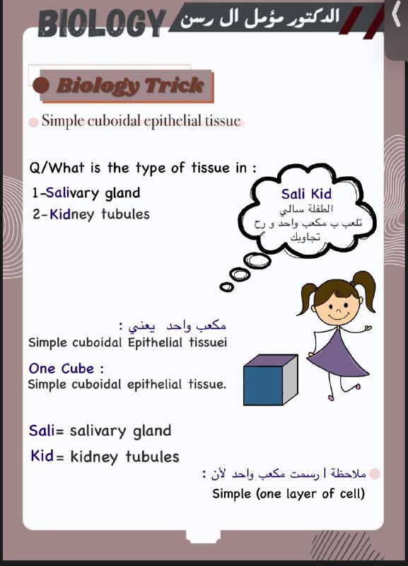 الدكتور مؤمل ال رسن