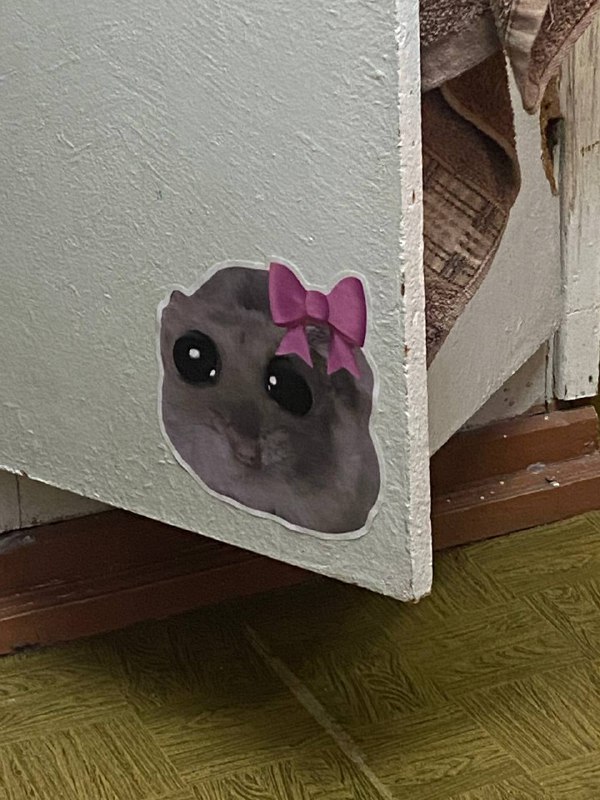 Моарчик