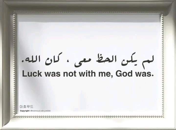 حلب مؤيد - Moayad