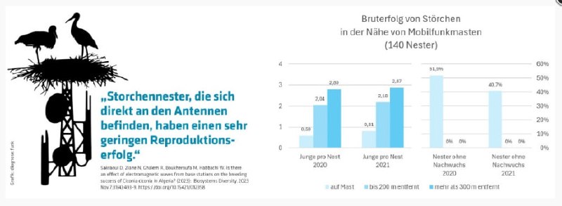 Studie: Storchen-Nachwuchs klapp(er)t nicht in der …