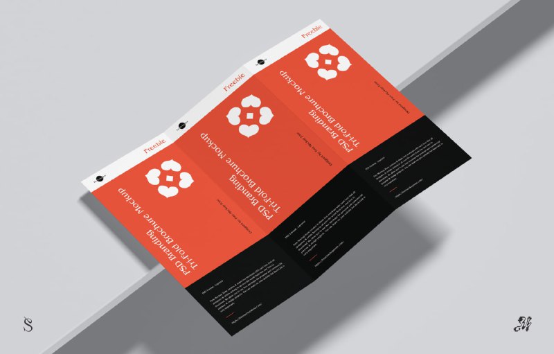 **Branding Tri-Fold Brochure Mockup**