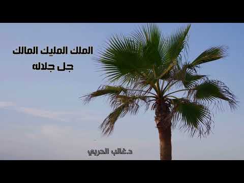 **د. غالب الحربي**