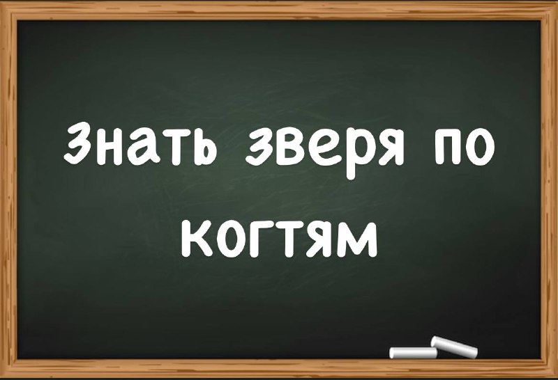 **Знать зверя по когтям**