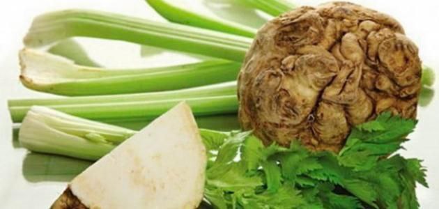 ***?*** الكرفس هو من النباتات الحولية …