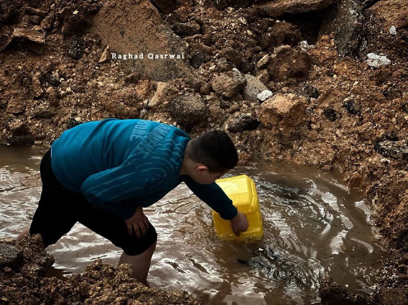 فلسطين Palestine 🇵🇸