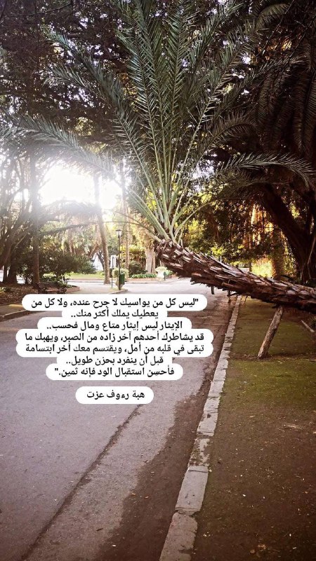 | محمد كمال الدين