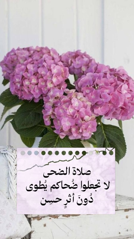 **اللهم طريقاً مزهراً مكللاً بالتوفيق ، …