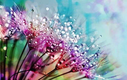 به جهان خرم از آنم که …