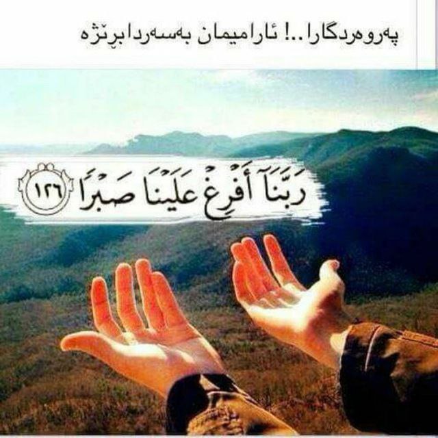 [@mohammdezadi](https://t.me/mohammdezadi)