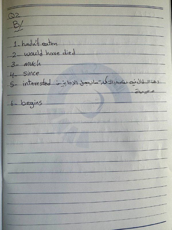 الاستاذ محمد السليم ( استاذ اللغة …