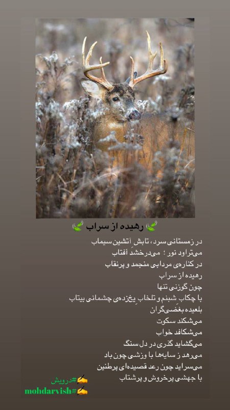 ***?***«رهیده از سراب»***?***