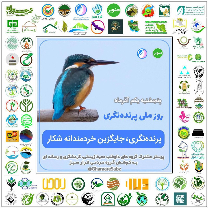 ***✅*** [#پرنده\_نگری\_جایگزین\_خردمندانه\_شکار](?q=%23%D9%BE%D8%B1%D9%86%D8%AF%D9%87_%D9%86%DA%AF%D8%B1%DB%8C_%D8%AC%D8%A7%DB%8C%DA%AF%D8%B2%DB%8C%D9%86_%D8%AE%D8%B1%D8%AF%D9%85%D9%86%D8%AF%D8%A7%D9%86%D9%87_%D8%B4%DA%A9%D8%A7%D8%B1)