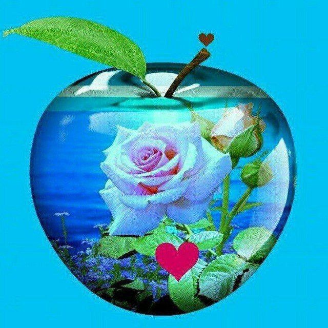 محسنیه