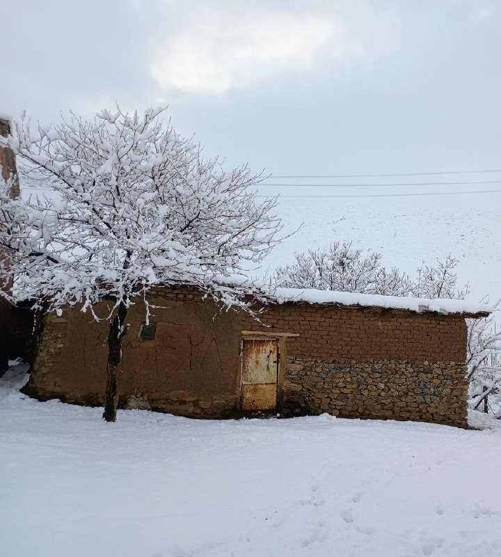 مووژه‌ژ دیـــــاری باپیرانم