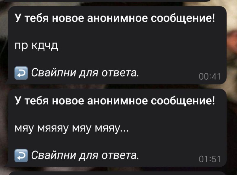 1. пр все ок ***🤩***