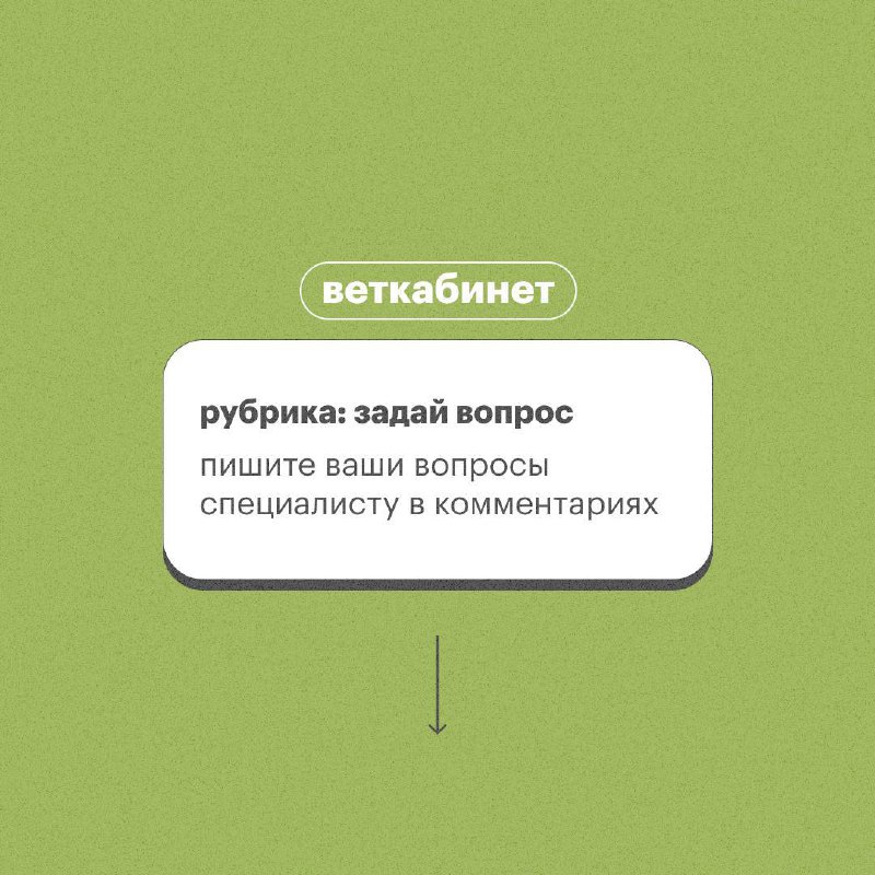 **Рубрика «вопрос-ответ»** ***💚***