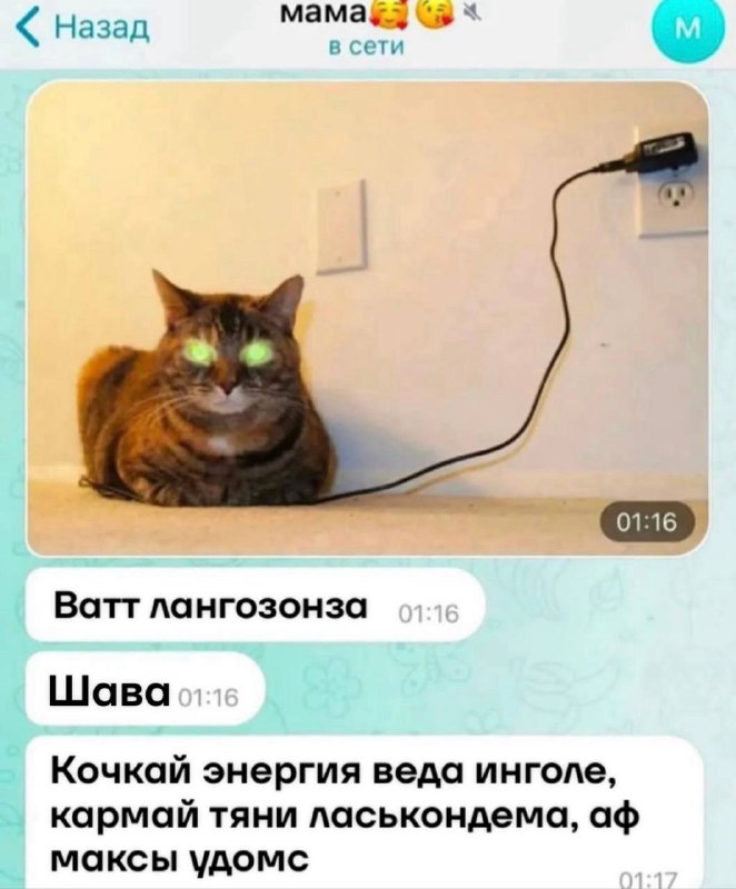 Мокшень мемнят