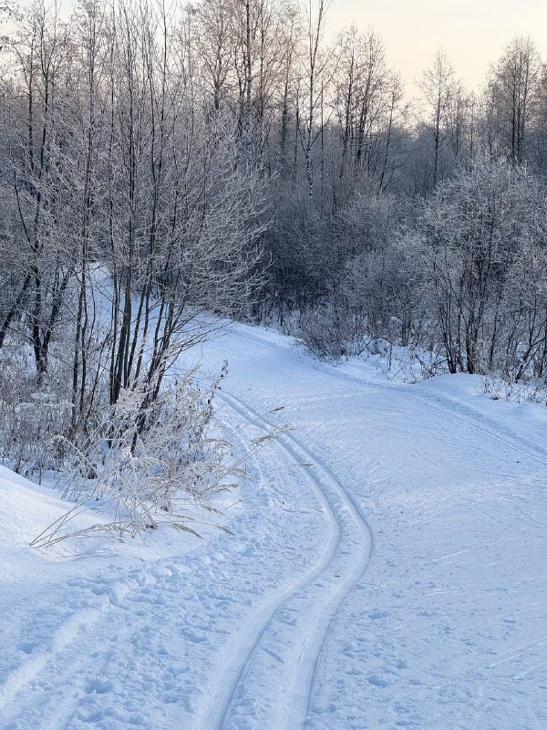 Ксю в моменте 🕊️