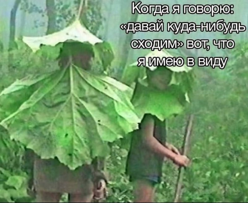 Что гложет королеву Монако?