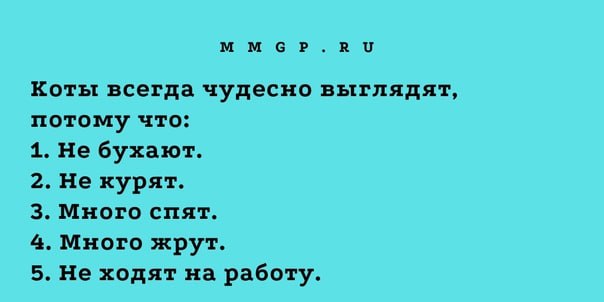 mmgp.ru