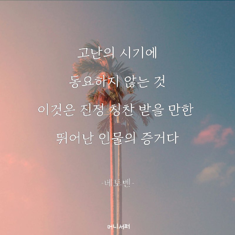 머니서퍼 구독자여러분,