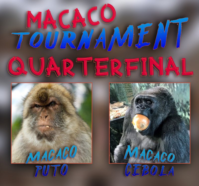 ***🏆*** MACACO TOURNAMENT ***🏆***