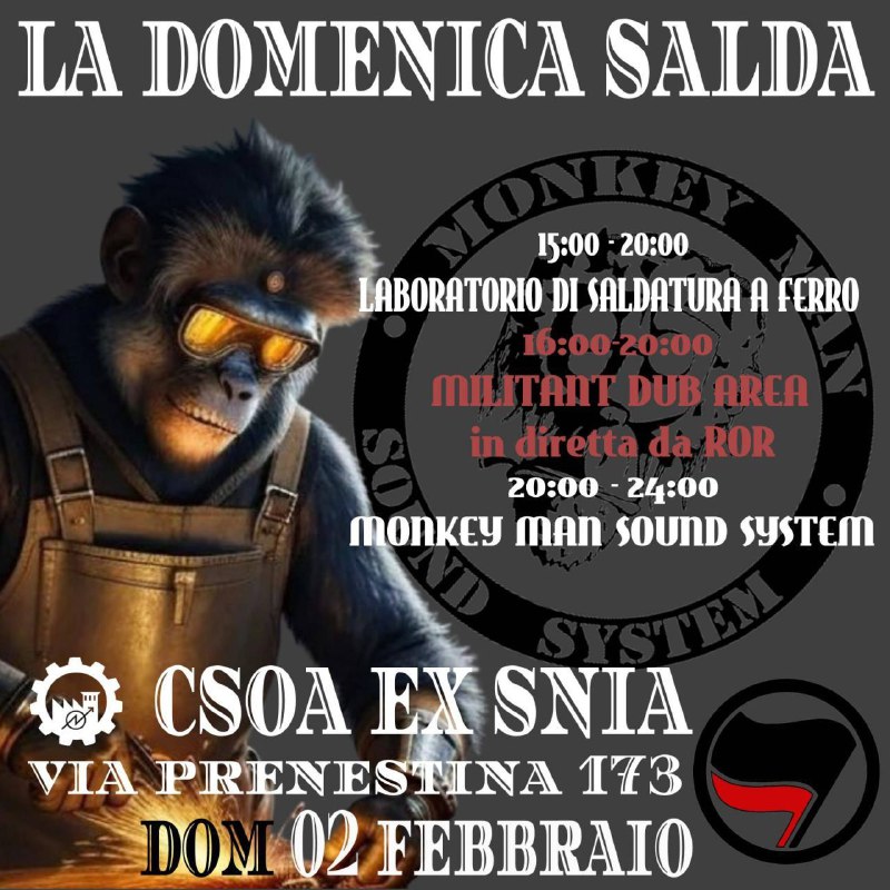 Scimmiette di città e non, **domani** …