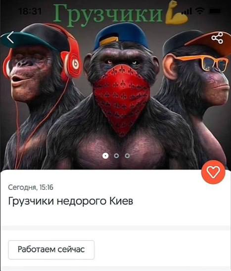 Monkey