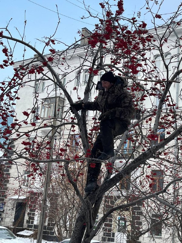 **В Центре Новосибирска объявились нелегальные сборщики …