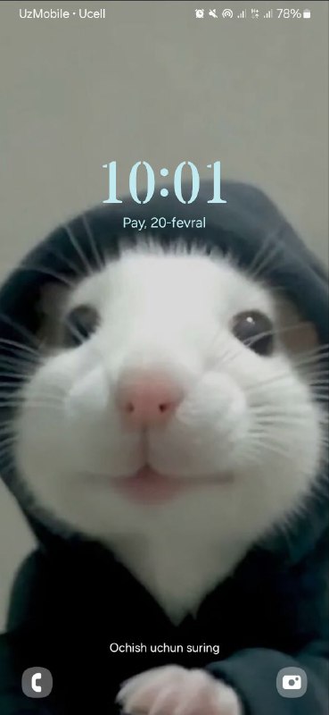 ***🐭***10:01***🐭***