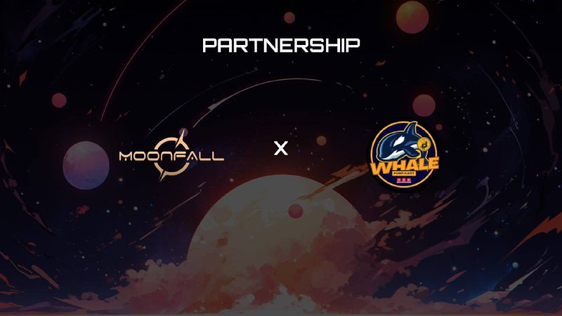 ***🚀*** Partnership Announcement