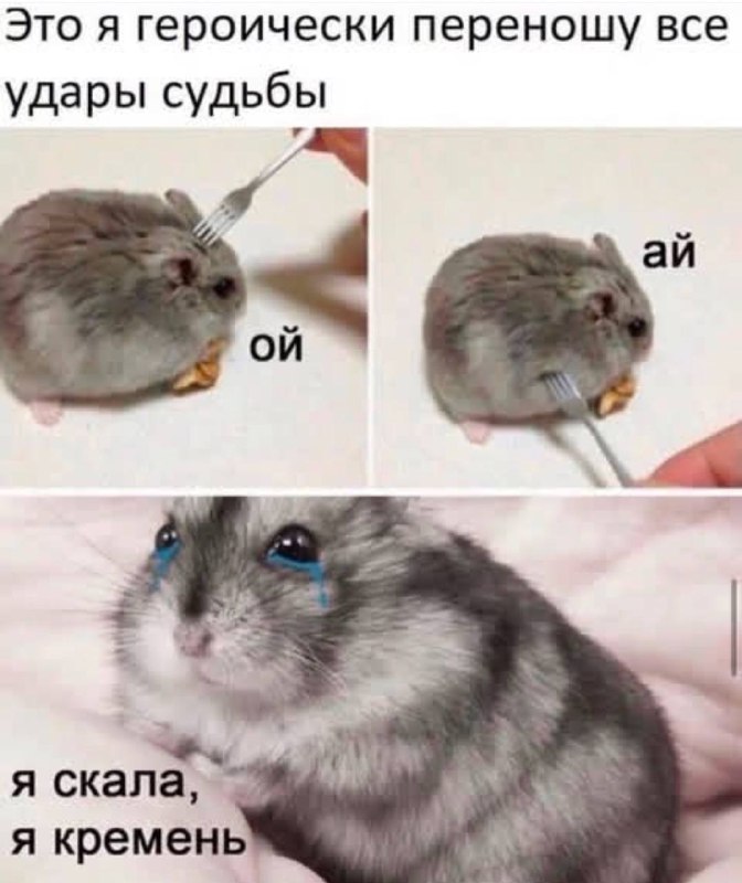 Стащила у Ани Ахимсы ***🫠******😀***