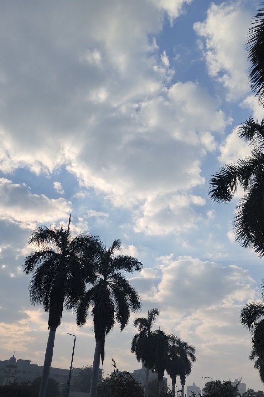 وإذ نظرةٌ نحو باب السماء