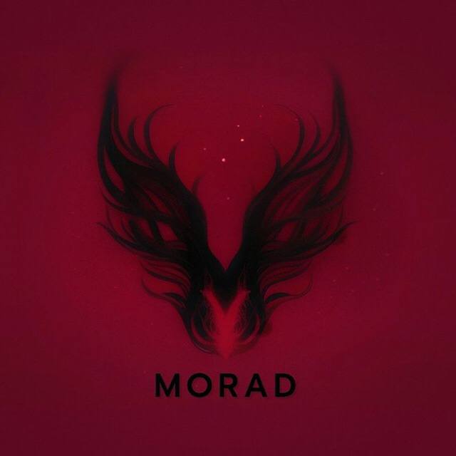 **MORAD PROJECT**MORAD — *Независимый проект по …