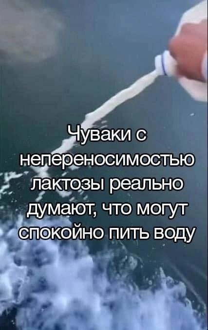 1488 memes