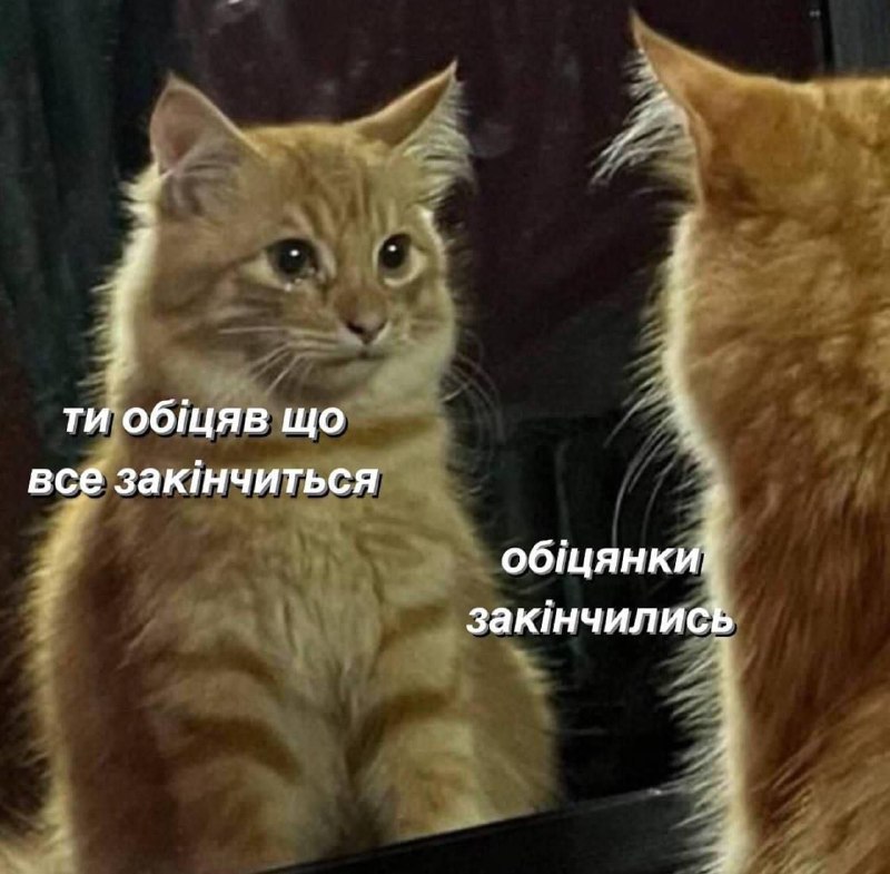 1488 memes