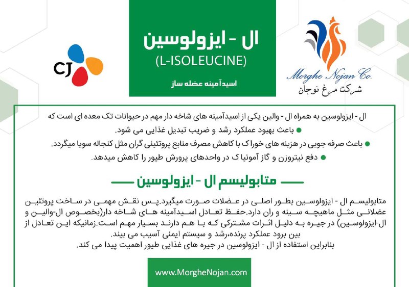 ال-ایزولوسین برند سی جی
