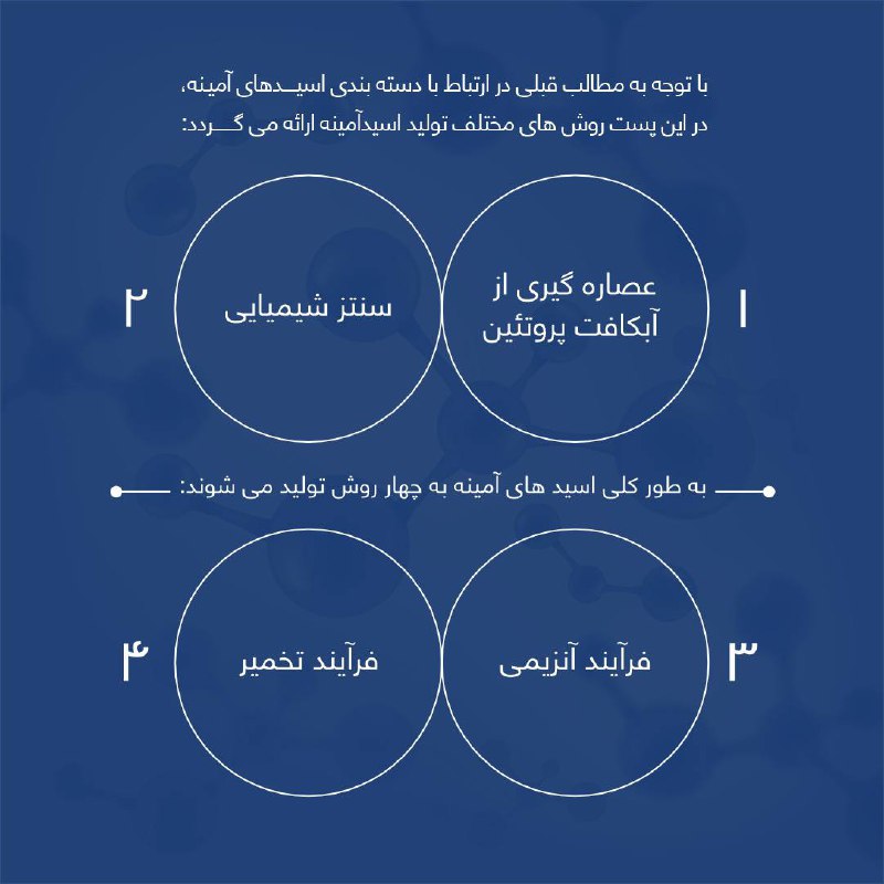 شرکت مرغ نوجان