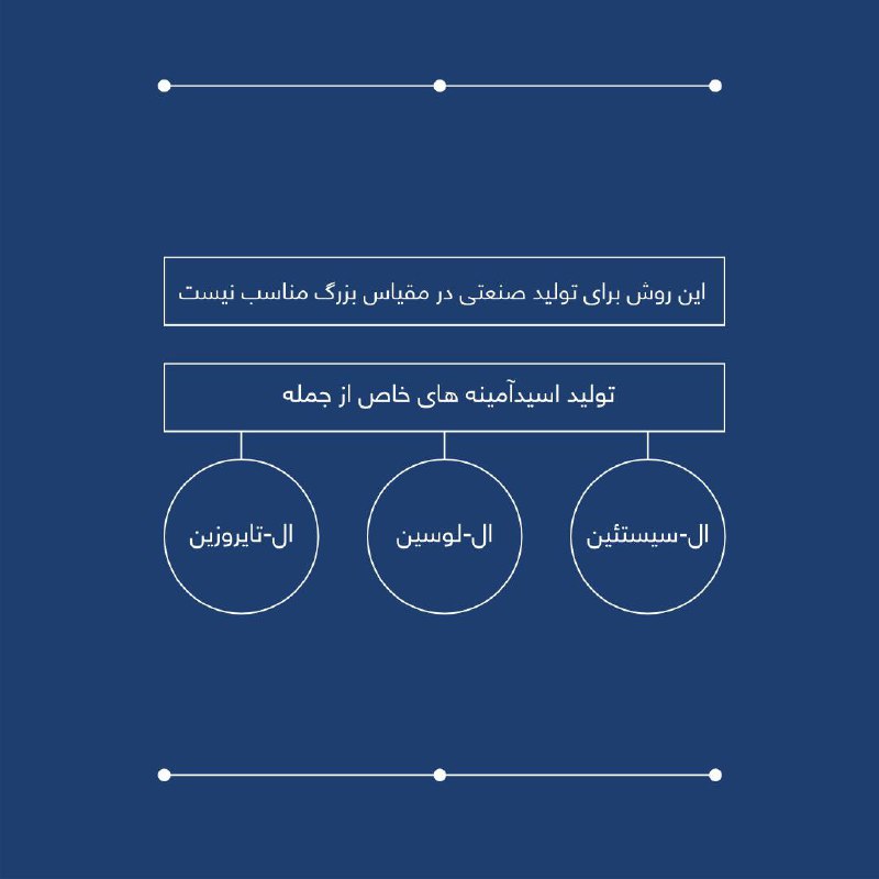 شرکت مرغ نوجان
