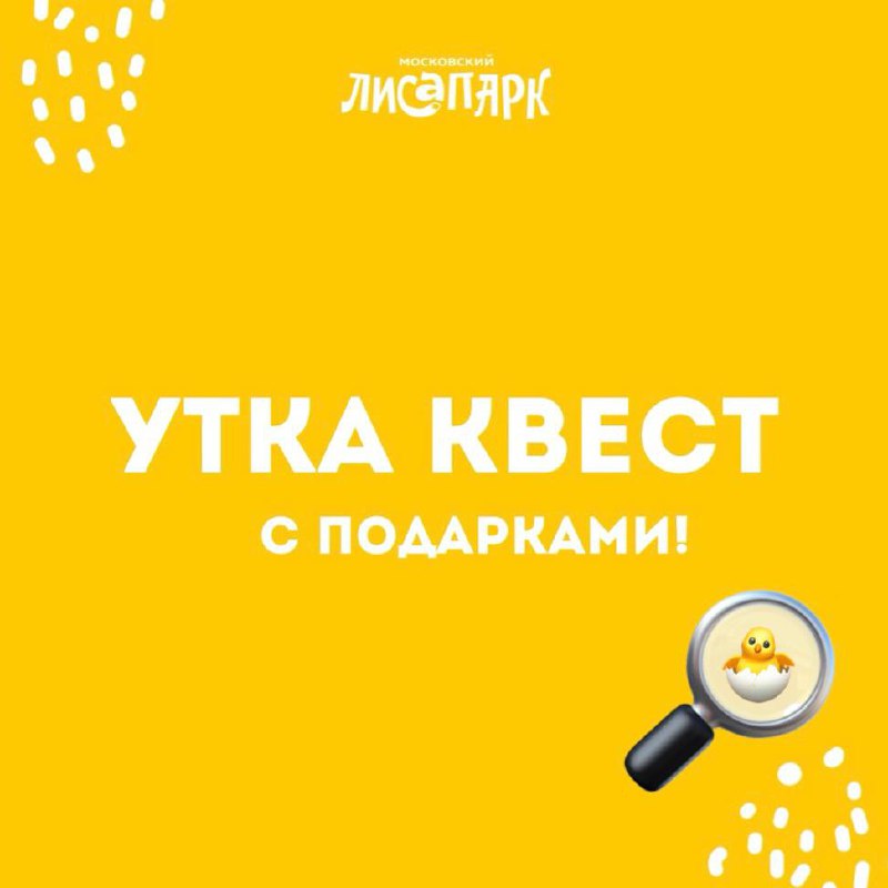 ***🔎*** **Большой «Утка Квест» стартует уже …