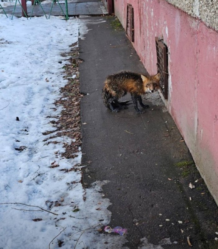 В Подольске на улице Долгого 10, …